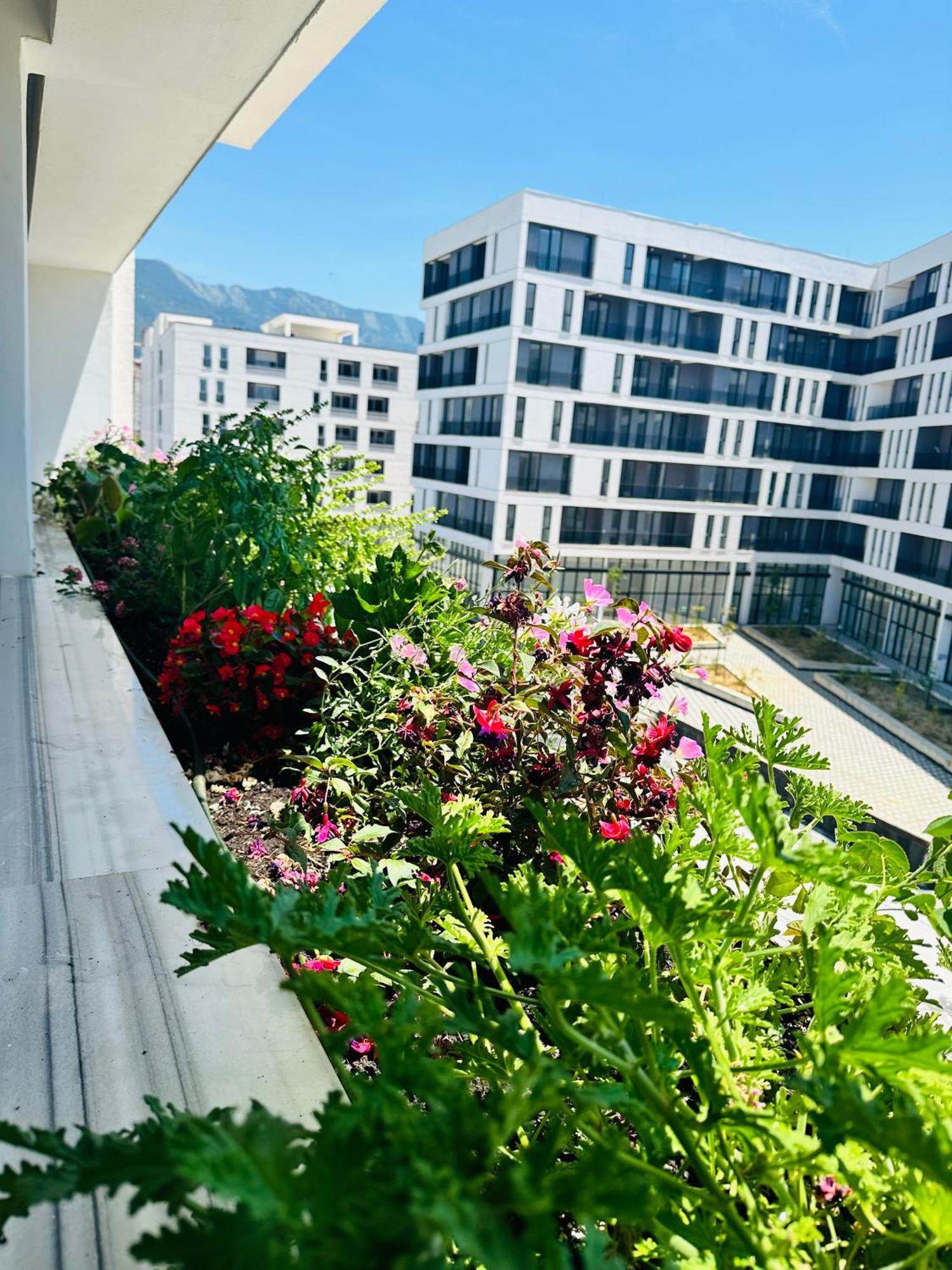 Family Apartment تيرانا المظهر الخارجي الصورة